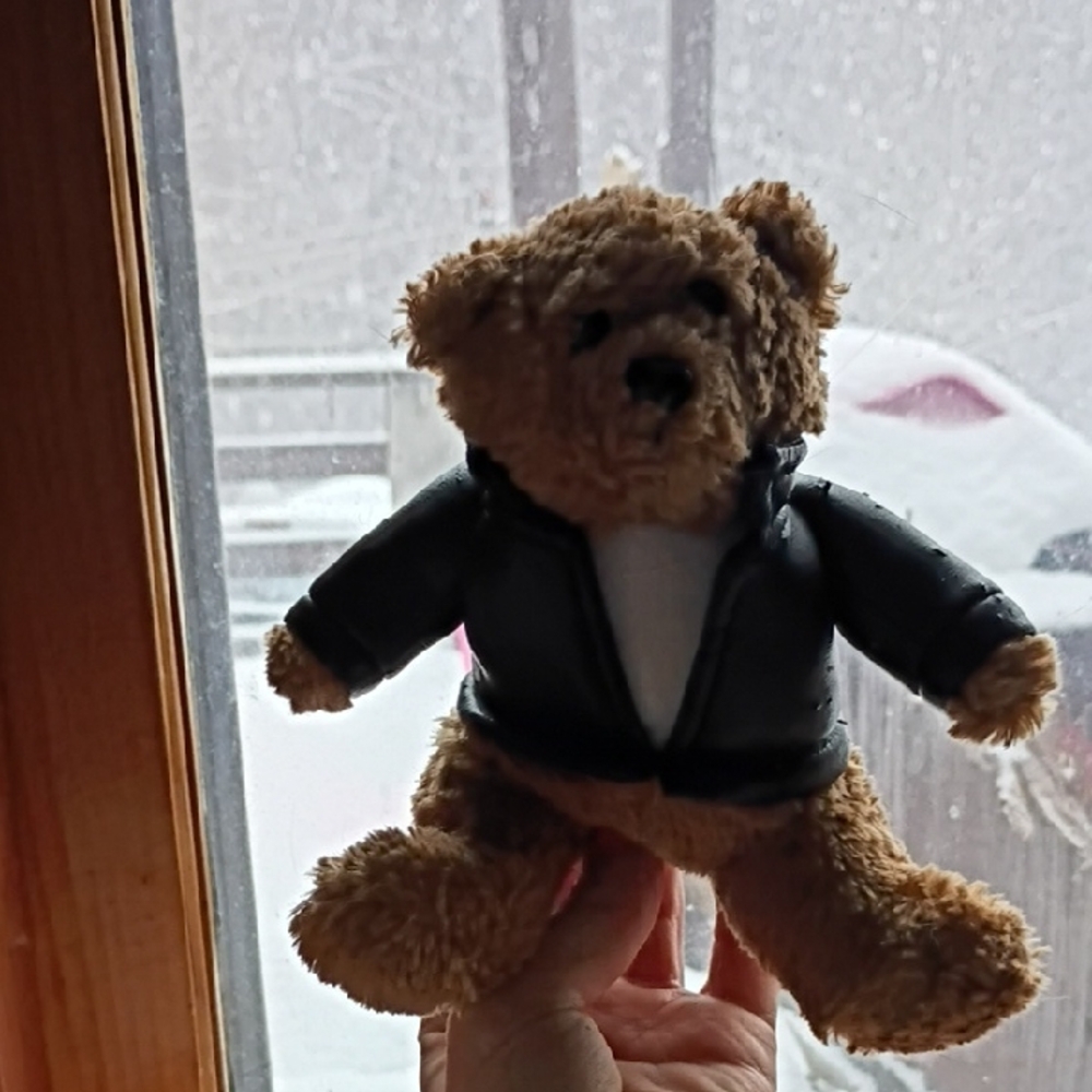 Cozy Brown Teddy Bear with Black Jacket